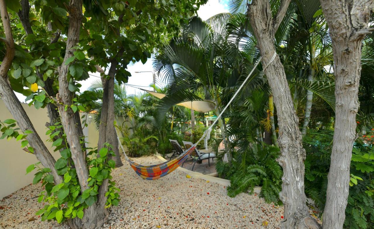 Wonders Boutique Hotel Oranjestad Eksteriør bilde