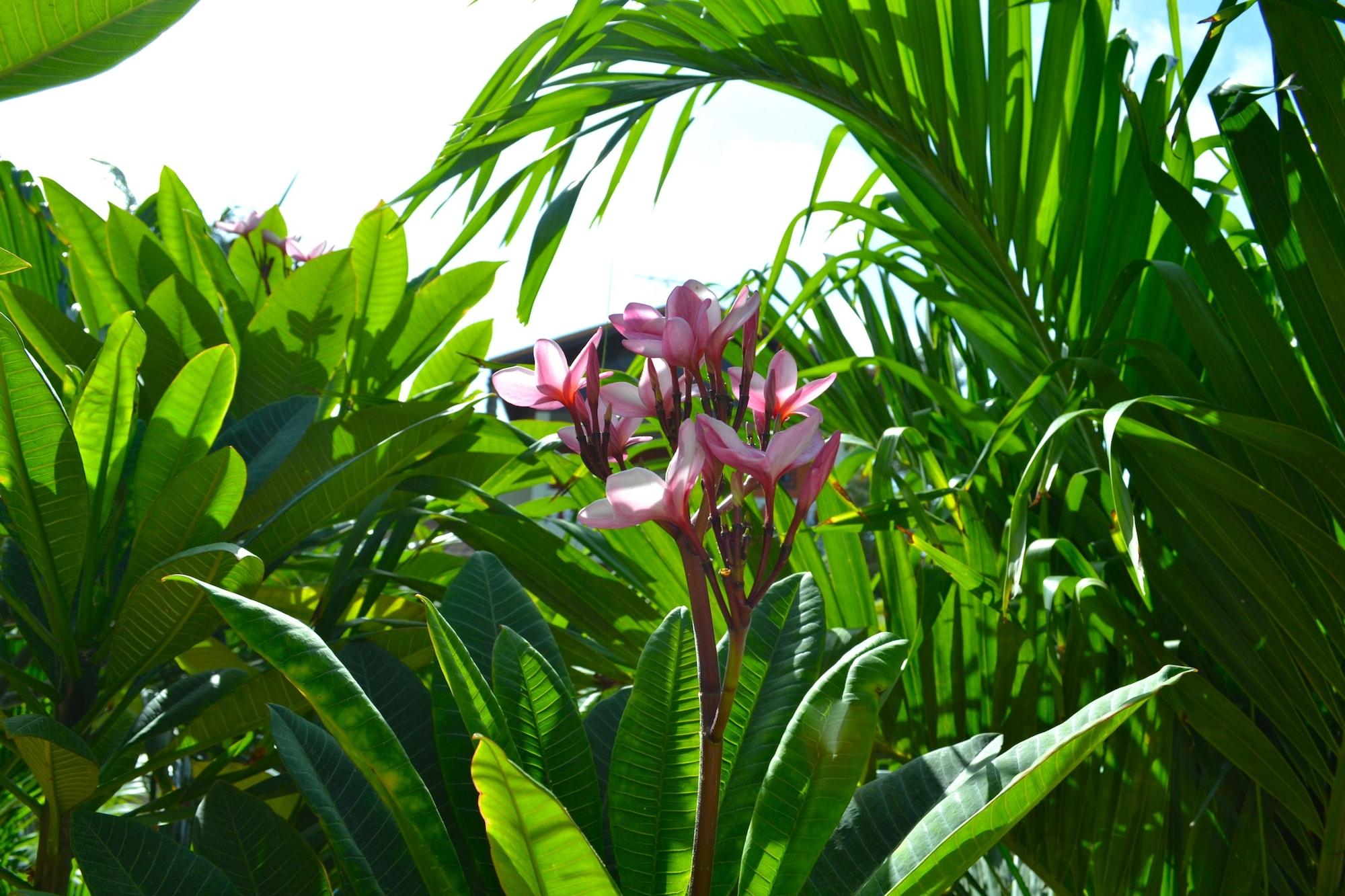 Wonders Boutique Hotel Oranjestad Eksteriør bilde