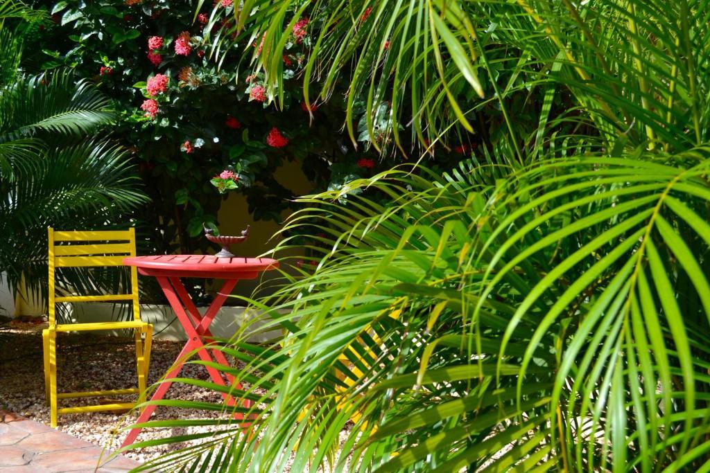 Wonders Boutique Hotel Oranjestad Eksteriør bilde